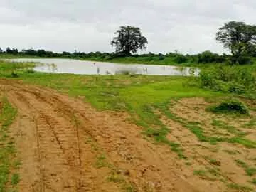 మద్దులవాయి చందం చెరువులోకి కొద్దిగా వచ్చిన నీరు