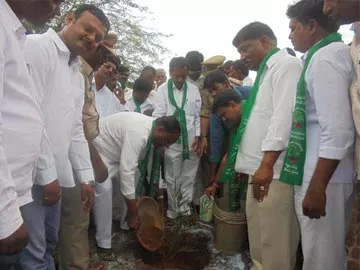 హరితహారంలో భాగస్వాములు కావాలి - Sakshi