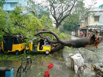 శాంతిస్తున్న 'వర్దా', ఏడుగురు మృతి