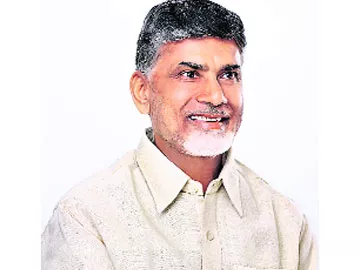 31న నెల్లూరు జిల్లాలో సీఎం పర్యటన - Sakshi