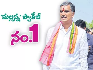 మల్లన్న ప్యాకేజీ నం.1 - Sakshi