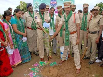 పచ్చదనంతోనే ప్రగతి - Sakshi