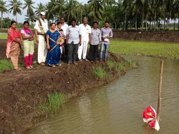 92 మిశ్రమ, సుస్థిర వ్యవసాయ క్షేత్రాల ఏర్పాటు