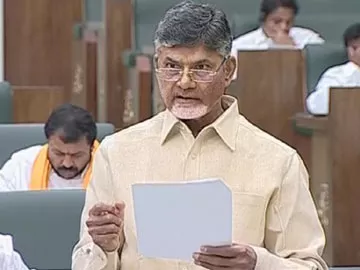 అగ్రిగోల్డ్‌పై అసెంబ్లీలో చంద్రబాబు ప్రకటన - Sakshi