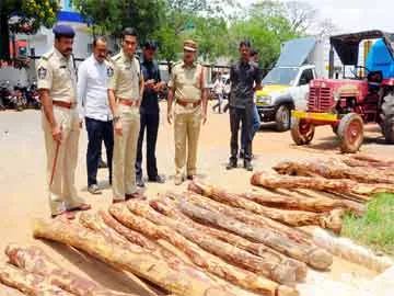 ఎర్రచందనం అక్రమ రవాణాకు అడ్డుకట్ట - Sakshi