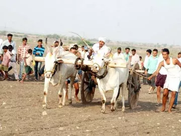 ఉత్సాహంగా గిరకబండిలాగుడు పోటీలు