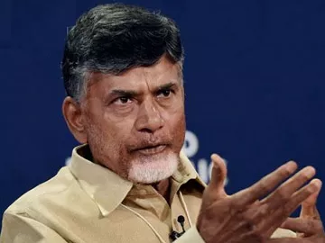 కాలినడకన పెట్టుబడులకు తిరిగా: చంద్రబాబు - Sakshi