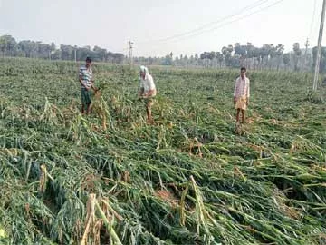 కన్నీరే మిగిలింది