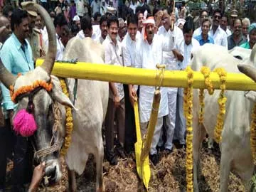 సంప్రదాయ వ్యవసాయానికి ప్రాధాన్యం ఇవ్వాలి