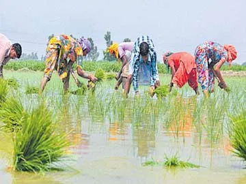 50 లక్షల ఎకరాల్లో ఖరీఫ్‌ సాగు