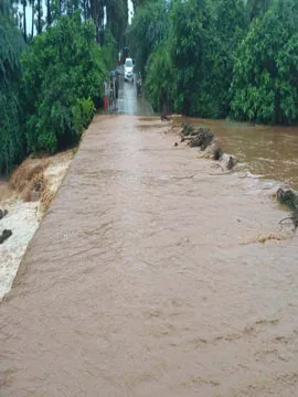 పొంగిపొర్లుతున్న వాగులు