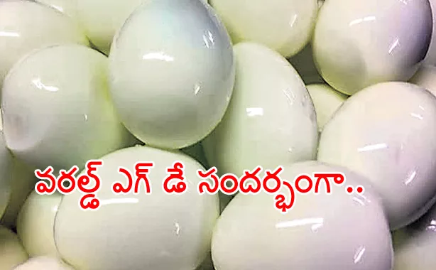 Eggs distributed to students on world egg day - Sakshi