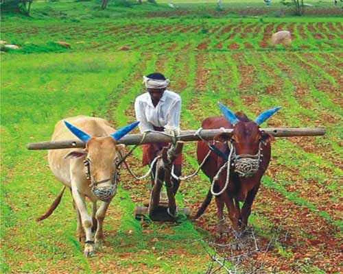 land records in telangana