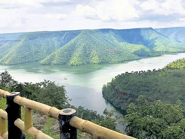 'Octopus' attraction in Nallamala forest