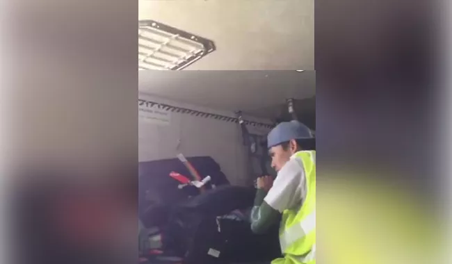 Baggage Handler Steals