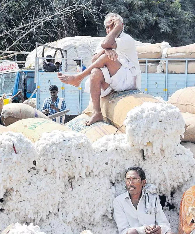 cotton price situation in Warangal Agricultural Market