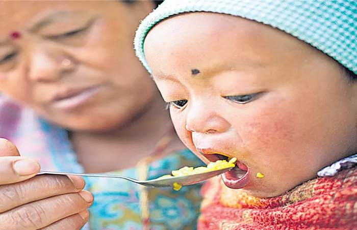 Nutrition food distribution among children in the state is 9.6 per cent