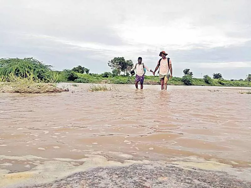 Krishna coast with pollutants