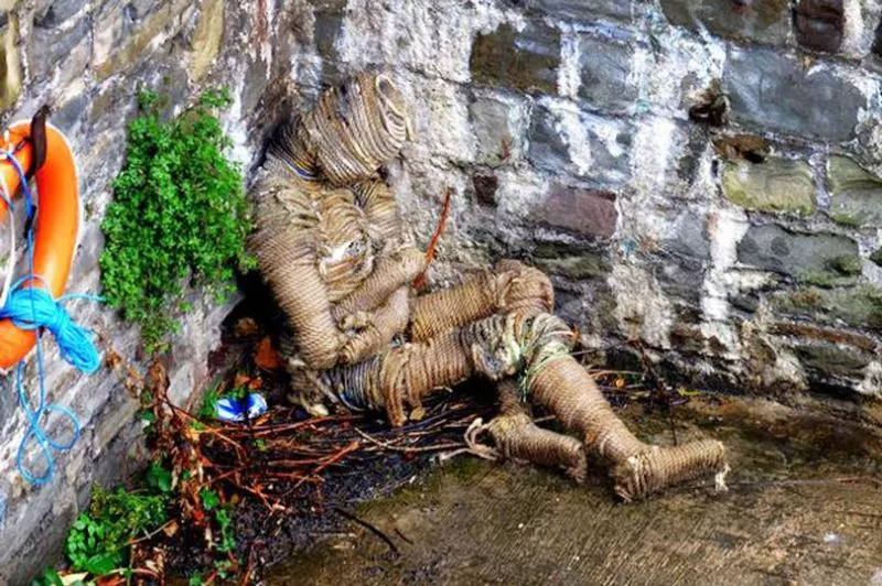 The mystery of the terrifying 'mummified man' found washed up on the side of a river