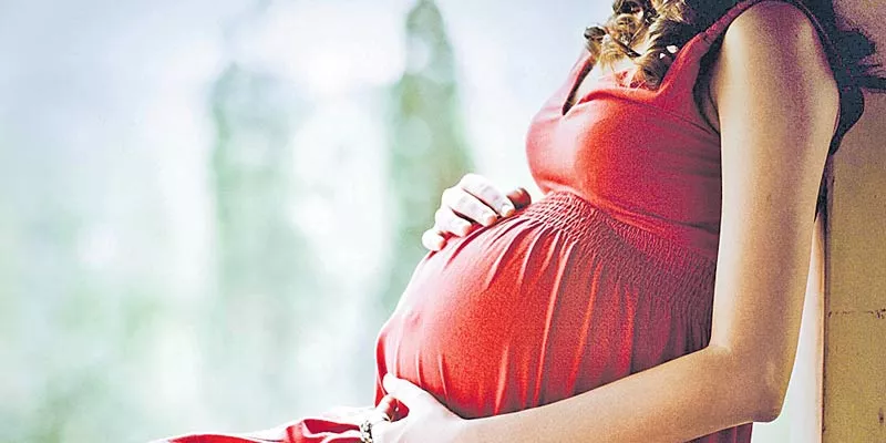 Add high-fat diet to the 'don't' list for pregnant moms |