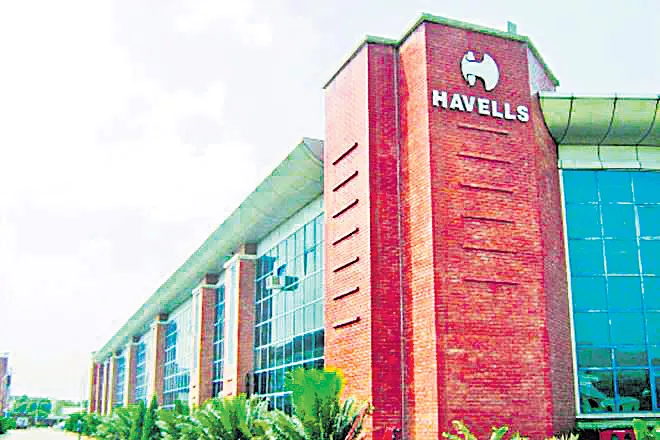 Havel's India has a net profit of Rs 171 crore