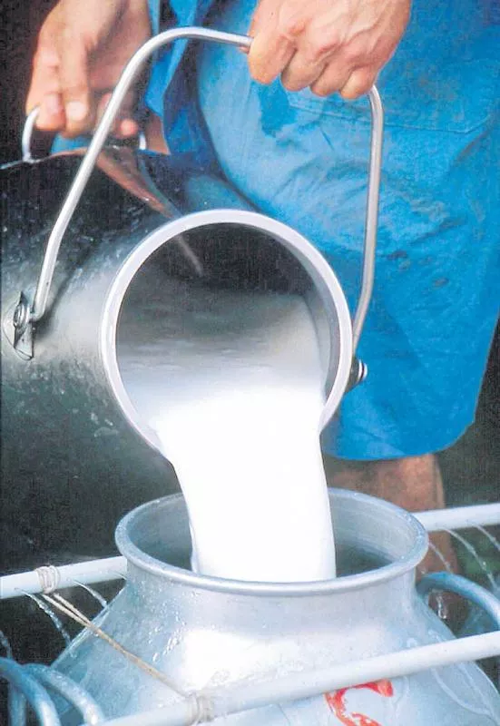 Milk promotional guidelines are issued