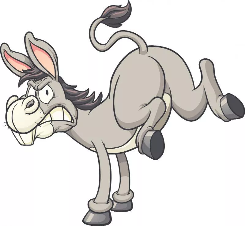 Theory Of Donkeys