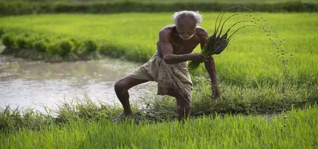 Lease farmers Trouble  in ap - Sakshi