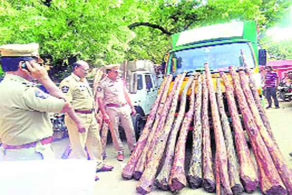 illegal transport Red sanders smugglers in Atmakur - Sakshi