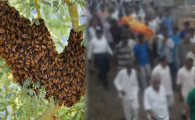 honey bees attacks people at burial ground