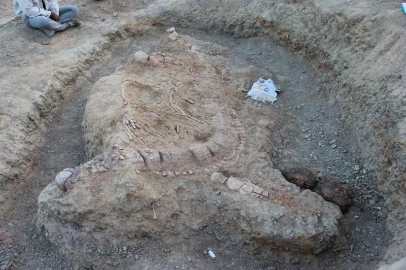 Stunning Jurassic 'Sea Monster' Found in India - Sakshi