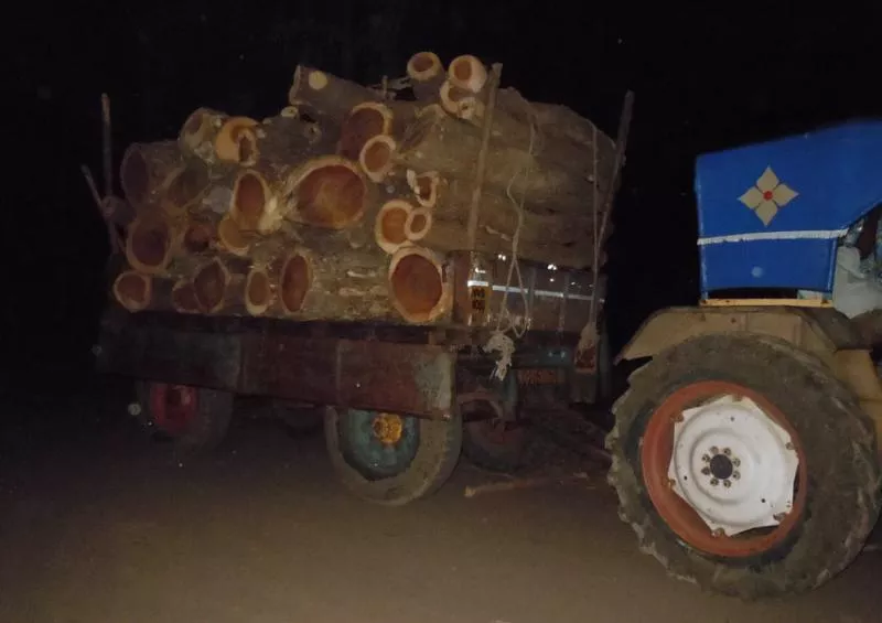 wood Smuggling from tanuku west godavari