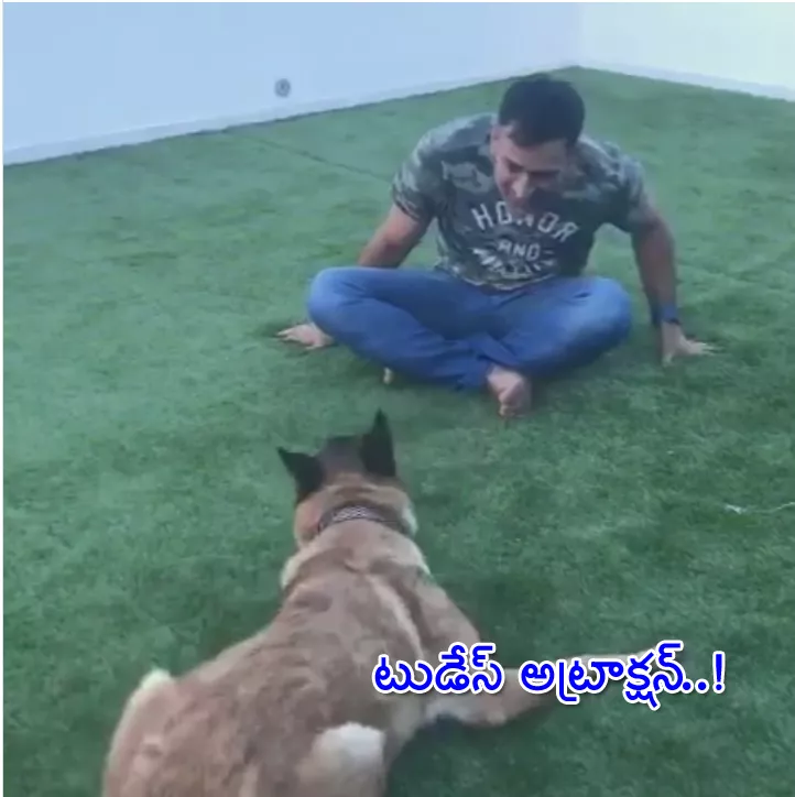 MS Dhoni dog dances to his moves - Sakshi