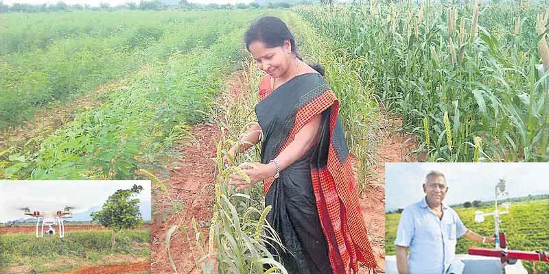 Nature Farming for Family Health and Zero Budget Natural Farming ... - Sakshi