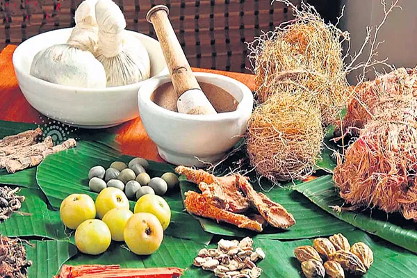 People are looking for Natural, ayurvedic products - Sakshi