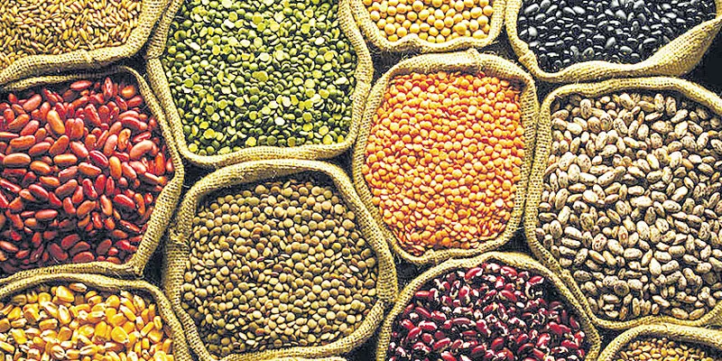 Government removes restrictions on export of all types of pulses - Sakshi - Sakshi