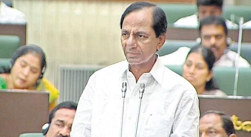 KCR comments in the Assembly about the World Telugu Conference - Sakshi - Sakshi