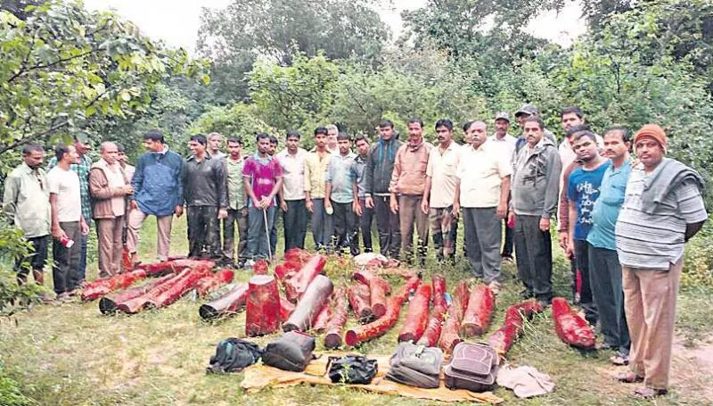 The thieves for the red sandalwood sticks into the ashes - Sakshi