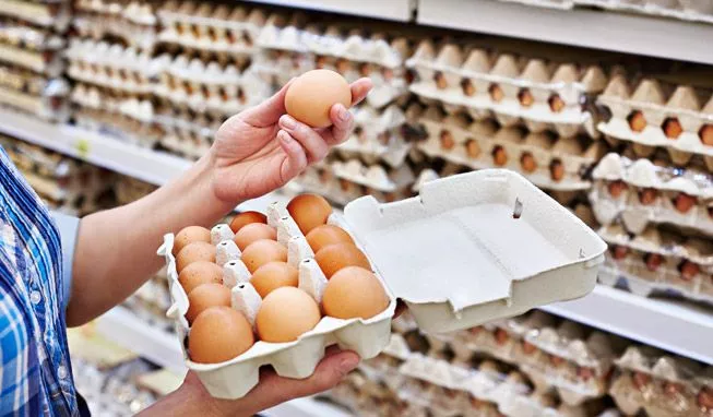 Egg prices 40% higher on tight supply - Sakshi