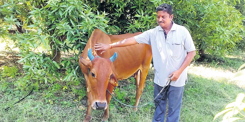 The farmer would be good if the land was good! - Sakshi