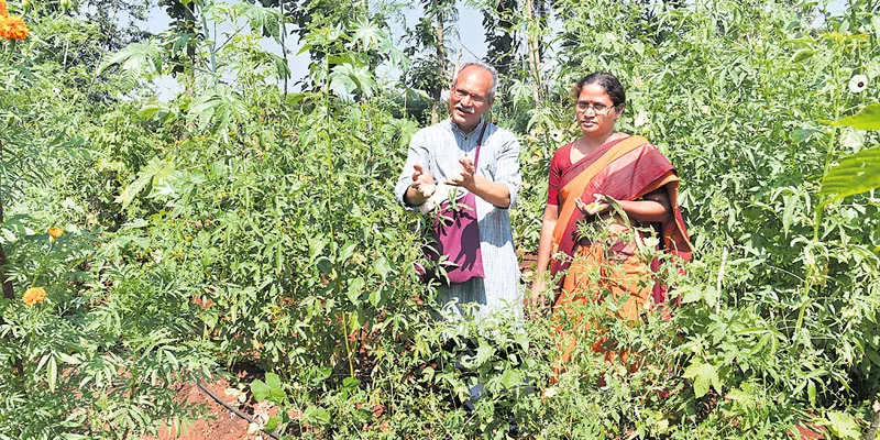 India Permaculture Pioneer - Narsanna Koppula of Aranya Agricultural Alternatives - Sakshi - Sakshi - Sakshi