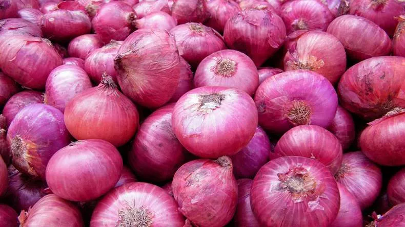 MMTC to import 2,000 tonnes onion to check prices - Sakshi