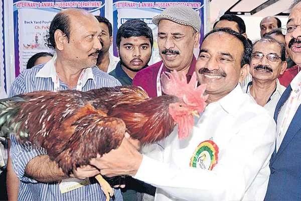 Bhagirath Water to the Poultry Industry - Sakshi