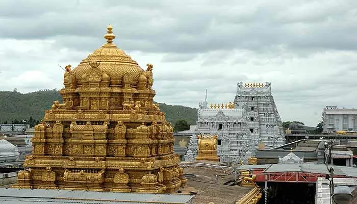 Panchami teertha mahothsavam for Tiruchanuru padmavathi - Sakshi - Sakshi