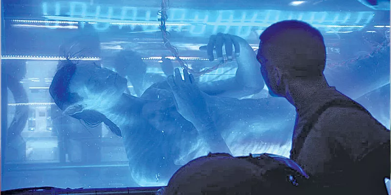 Going Underwater with the ‘Avatar’ Sequels Has a Promising Start  Read more at Film School Rejects - Sakshi