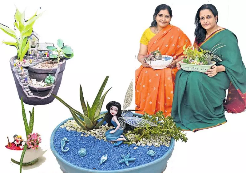 special story on desktop garden - Sakshi