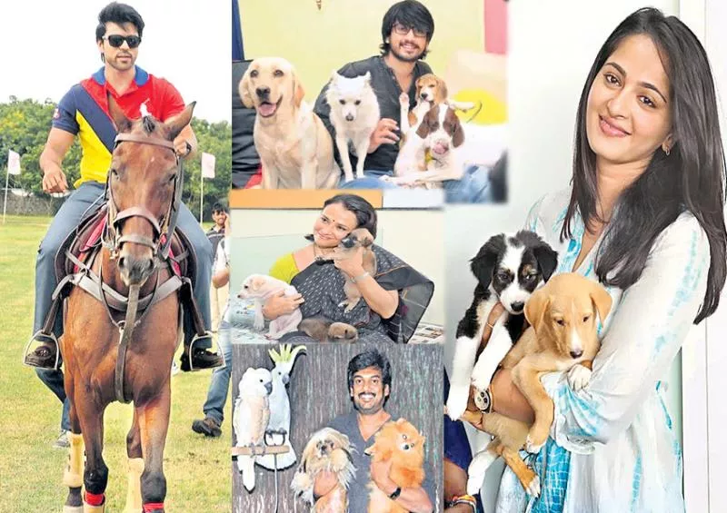 international pets day special story - Sakshi