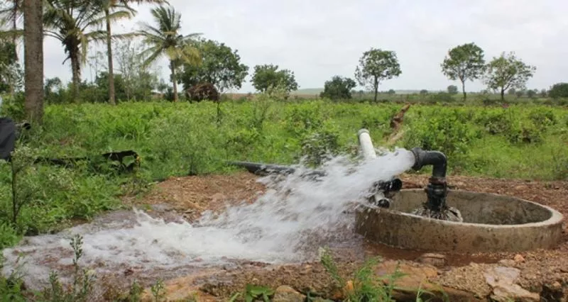 Borewells use is higher in the state - Sakshi