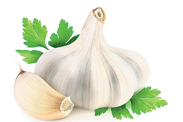 Garlic strains are many health benefits - Sakshi