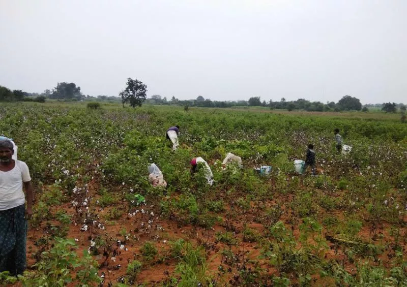 ap daily labor Migrant to telangana - Sakshi